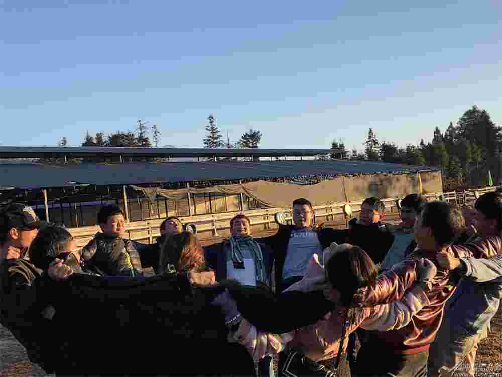 團隊建設(shè)、熔煉凝聚力